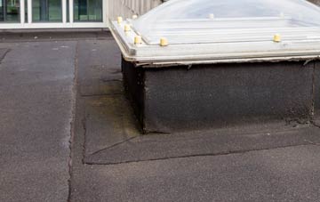disadvantages of Midge Hall flat roofs