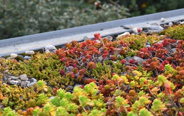 the cost of Midge Hall green roof installation