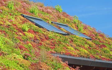 Midge Hall living roof systems