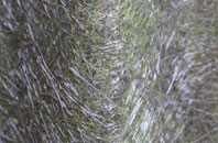 Midge Hall fibreglass roof work